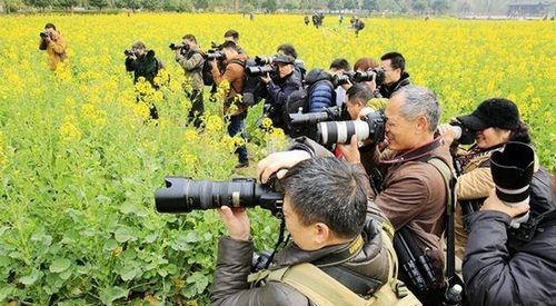 Hunan Top Leaders Call for More Volunteer Tree Planting