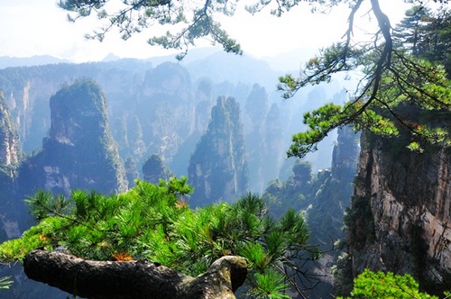 Zhangjiajie Park Was Listed “The World’s Ten Quiet Beautiful Forests”