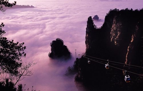 A Sea of Clouds shows in Wulingyuan scenic spot, Like a fairyland
