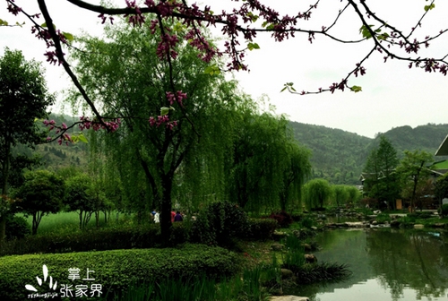 ZJJ Huanglong Scenic Spot has a Wonderful Spring Scenery for an Outing