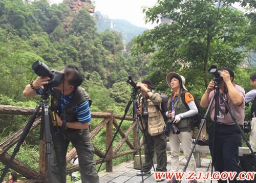 Zhangjiajie invited 50 landscape photographers to tour scenic spot