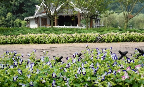 Changsha-Vientiane Direct Flight Opens August 31