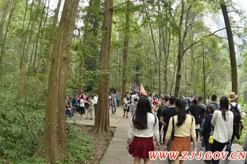 Zhangjiajie has recieved 536,000 Visitors,During National Day Golden Week