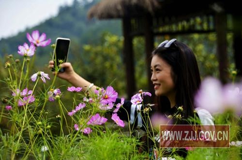 Zhangjiajie Xibu Street Galsang Flower shows Brilliant Smile