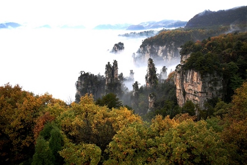 A Sea of Clouds in Zhangjiajie, Autumn Scenery is like an oil painting