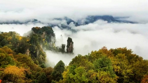 Zhangjiajie Tianzi Mountain shows Clould Sea in Early Winter