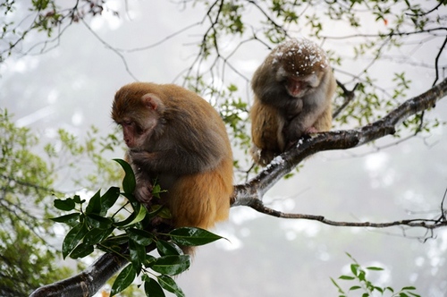 Hunan Boosts Cultural Exchanges with Outside World