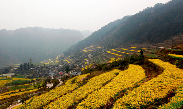 Beautiful Spring Scenery in Western Hunan