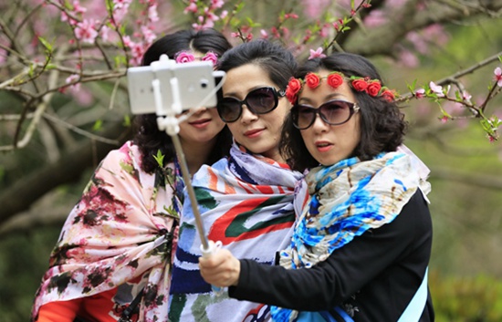 Zhangjiajie core scenic peach blossoms are in full bloom in Spring