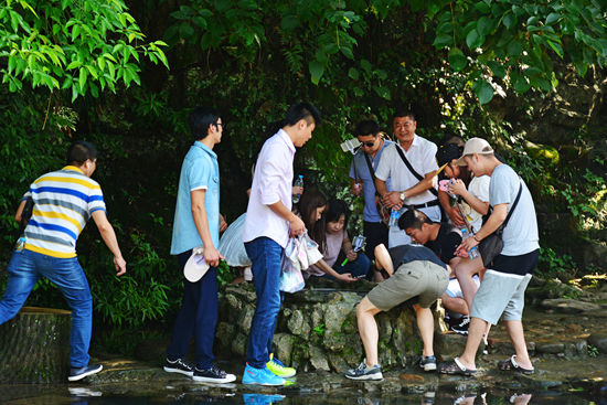 World Environment Day, “Beauty giant home” was favored