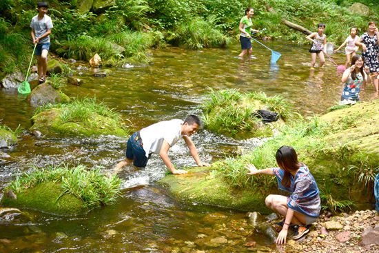 Zhangjiajie Scenic Spot-Golden Whip Stream Becomes a Popular