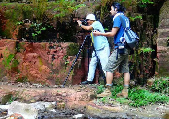 Zhangjiajie landform scenery will come to Hongkong TV specials