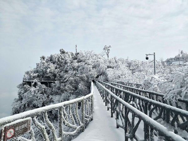 Snowy ZJJ Tianmen Mountain: A Winter Fairyland