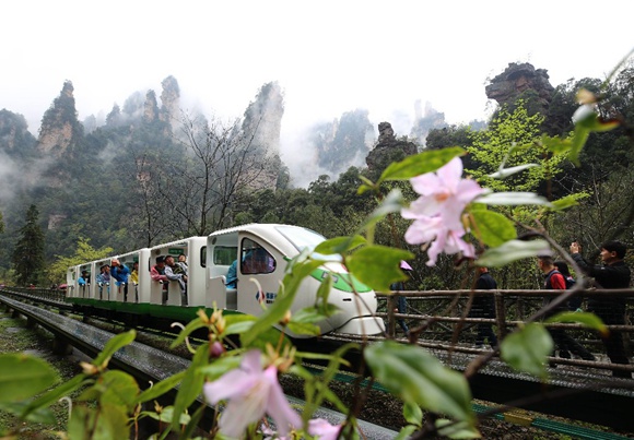 Zhangjiajie spring tour is a beautiful landscape