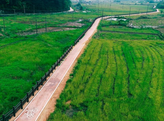 Cycle Paths Built Among Fields in Changsha Qingshanpu