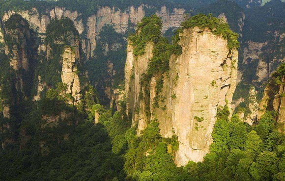 21 Consulates from Hong Kong and Macao visited Zhangjiajie