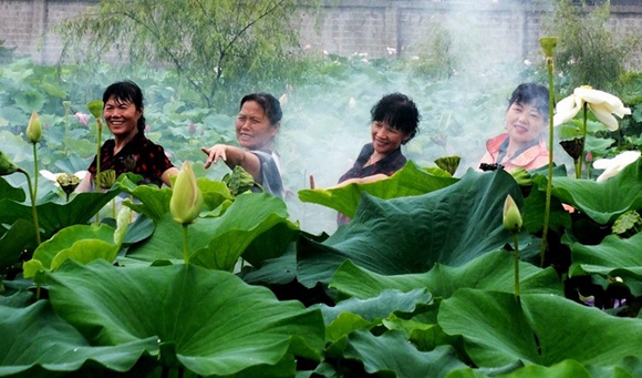 Zhangjiajie Lotus Park Inviting You