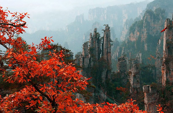 Zhangjiajie Autumn Scenery is beautiful?