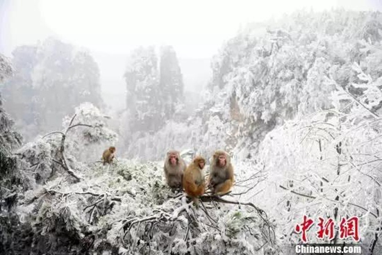 Hunan tourism list of Scenic Spots Closed