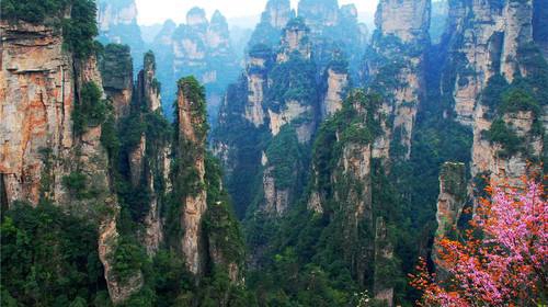 How about Main Travel Agencies in Zhangjiajie