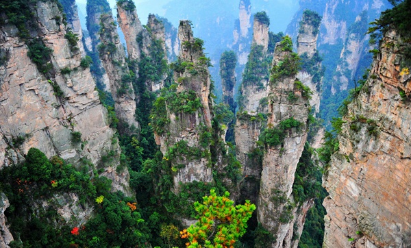 How reservation in Zhangjiajie Tourism Network