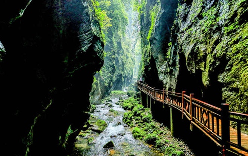 What are the options for travelling from Hong Kong to Zhangjiajie?