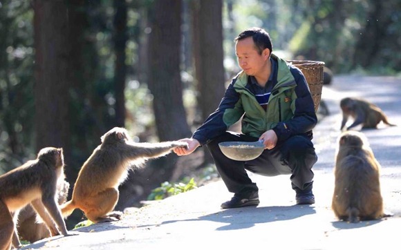 Monkeys are 'My kids', Zhangjiajie caretaker says