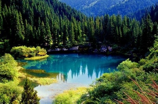 7N8D Tour For Chongqing+Jiuzhaigou+Chengdu