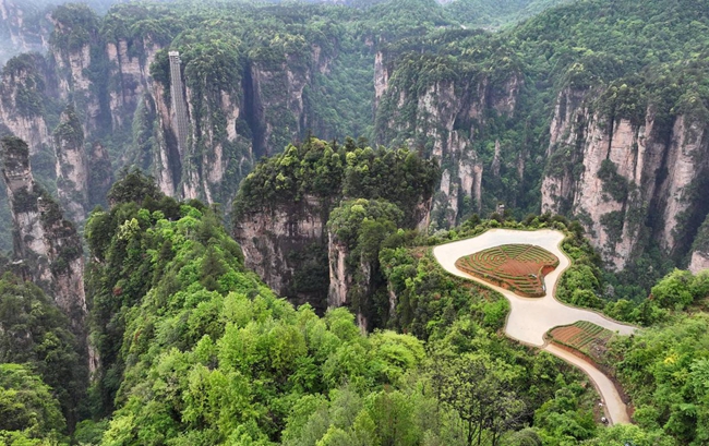 Farmland terraces grace clifftops at stunning Zhangjiajie avatar park