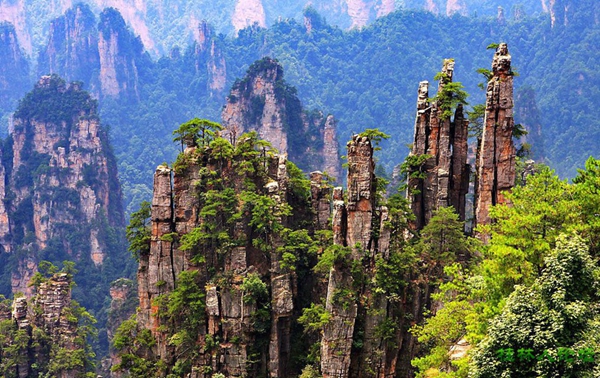 4D3N School tour for Zhangjiajie avatar park-Grand canyon & Glass bridge-Tianmenshan