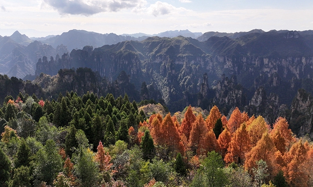 Tianzishans autumn2.jpg