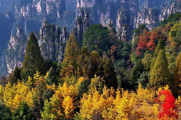 Tianzi Mountain  Autumn.jpg
